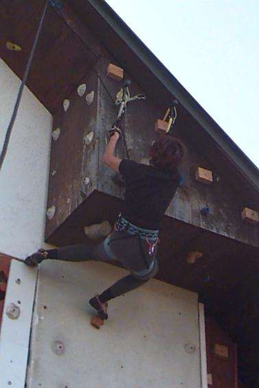 wall.jpg (20529 bytes)